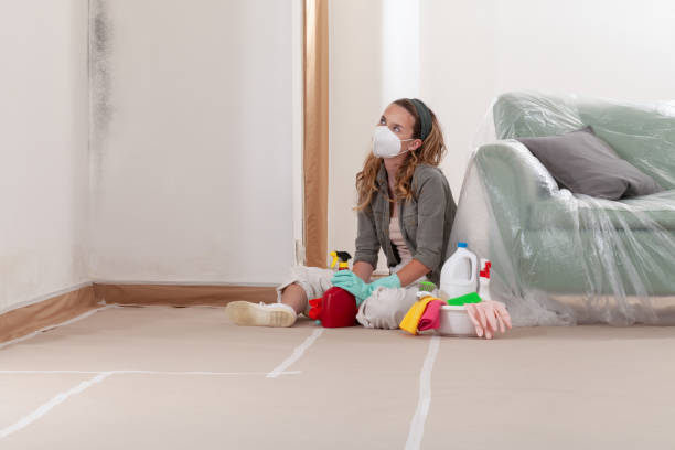 Reliable Mold Cleanup contractor in Barnesville, GA by WQB Mold Removal