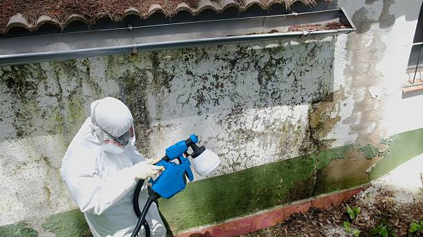 Top rated local Mold Cleanup specialists in Barnesville, GA